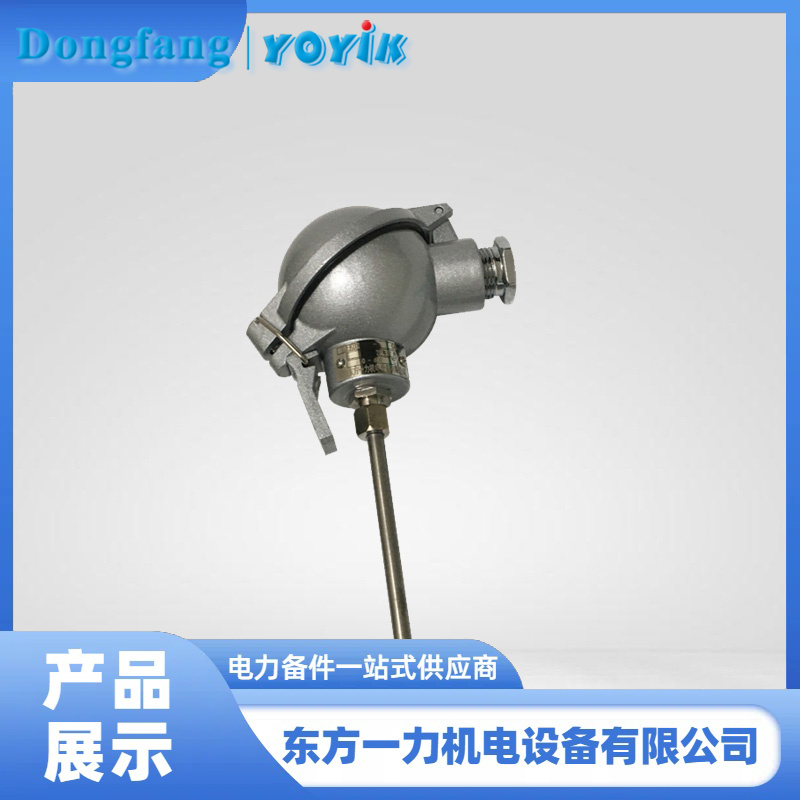 双支铠装热电偶 双支铠装热电偶